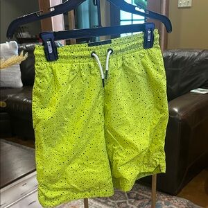 Jordan Lime Green and Black Shorts